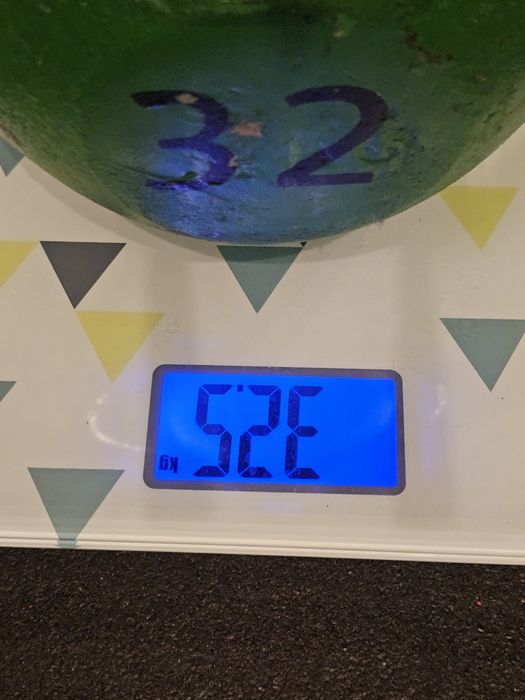 Kettlebell 32kg TSR trainingshowroom CKB