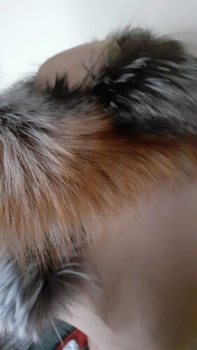 Kołnierz z naturalnego lisa