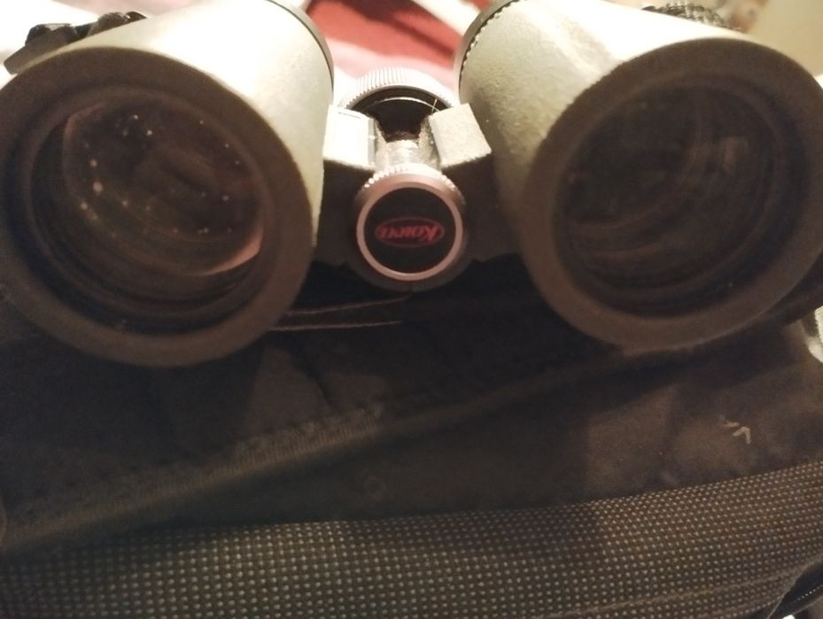 Бинокль Kowa BD ll 8x32 XD