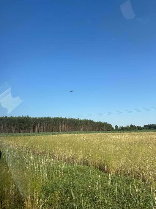 Na sprzedaż grunty leśne – Bużyska, gm. Korczew - Więcej