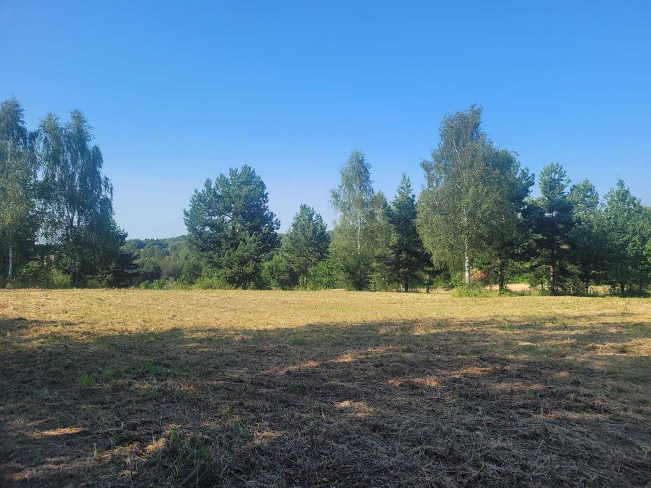 Działka 1,0321 ha z warunkami zabudowy – Natura 2000 - Widok 2