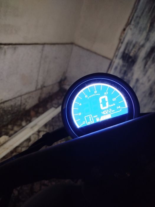 UM Renegade Vegas 125
