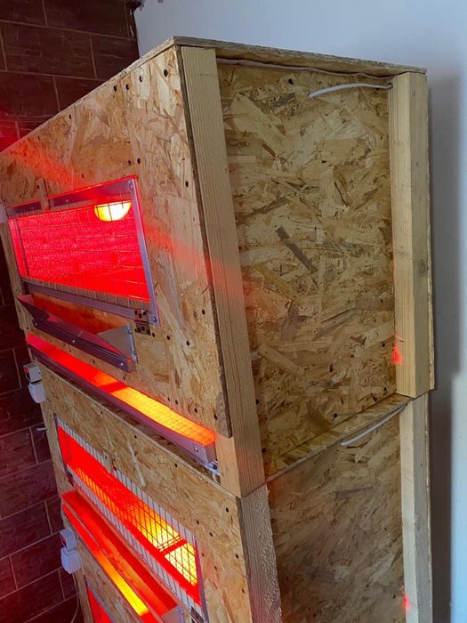 Клітки та Брудера для перепілок 3-х ярусні з піддонами