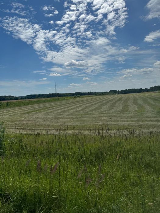 Działki budowlane z WZ od 1000m² | 105zł/m² | Budy Ciepielińskie | - Widok 2