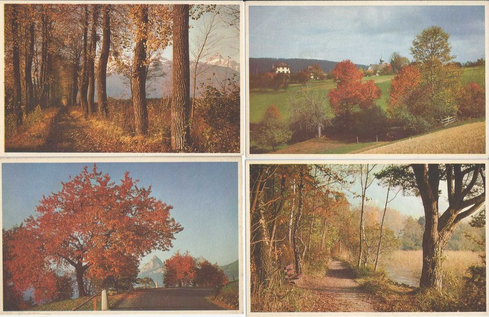 Postais Belgas - Floresta