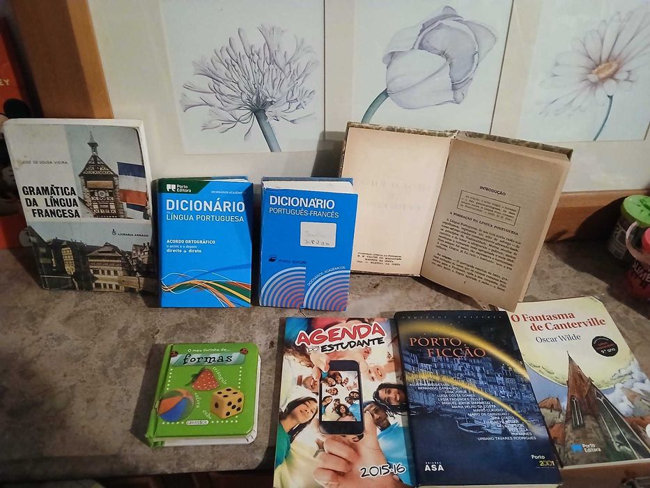 LIVROS vários, estudo, infantis