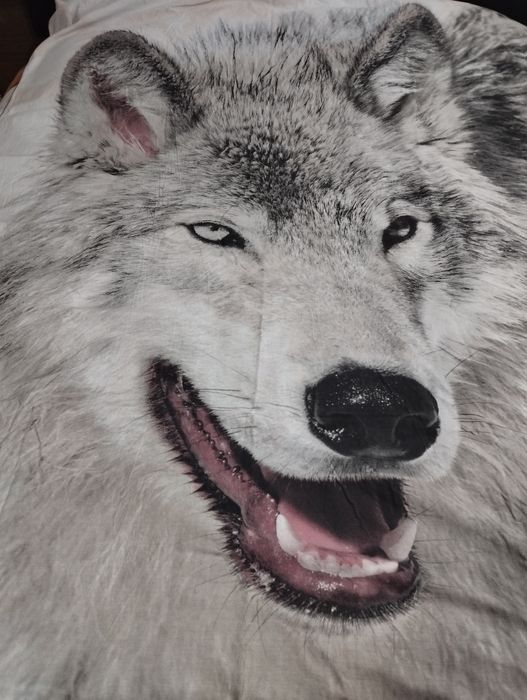 Pościel 160x200 z wilkiem