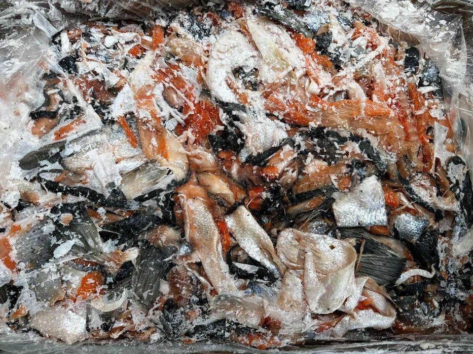 Шкіри, кістки, жир, обрізки рибні (лосося). Відходи рибні. Корм тварин