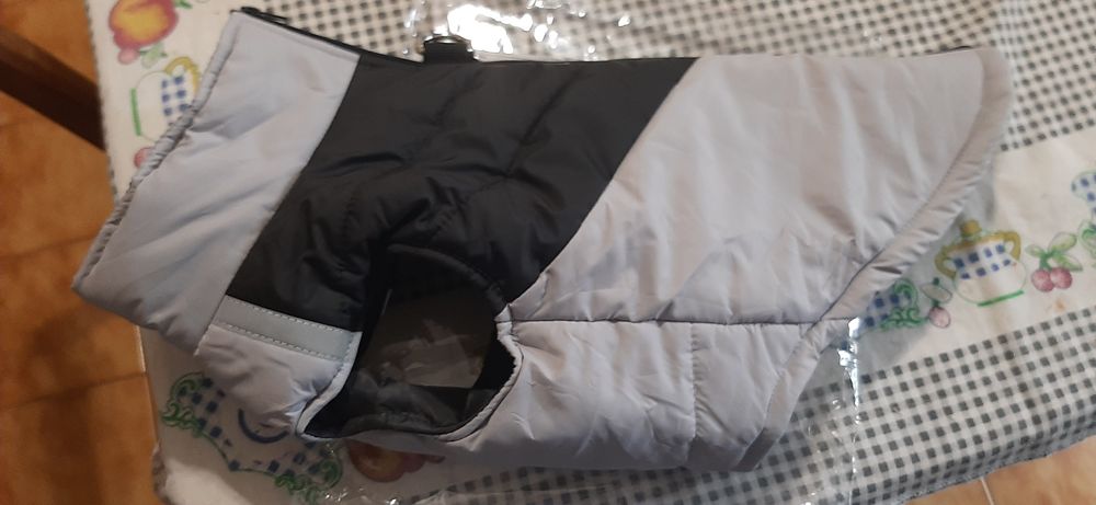 Casaco para cão novo.