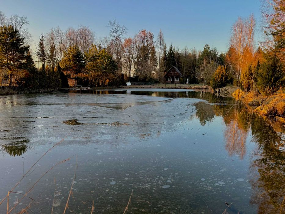 Wyjątkowa działka 8400 ze stawem i domkiem, cisza, las i Łosie 3 km od Głowna ( gm Stryków) - Widok 4