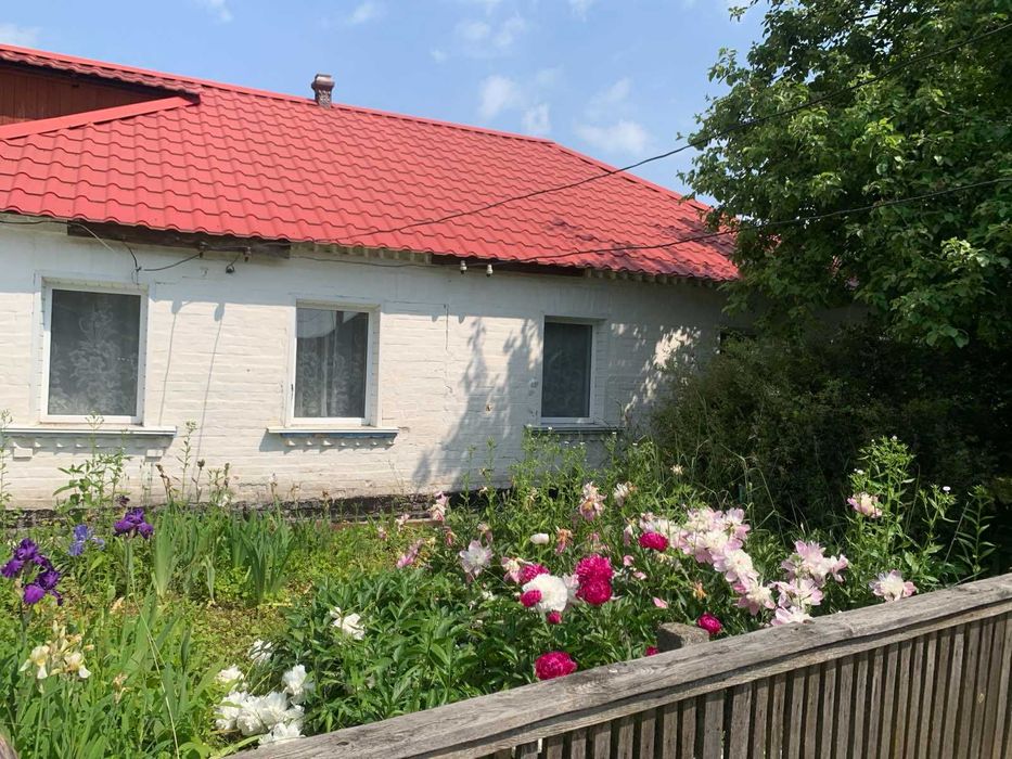 Продам будинок с.Велика Вільшанка