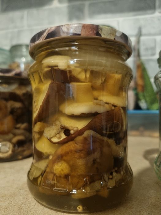 Grzyby suszone I marynowane w zalewie