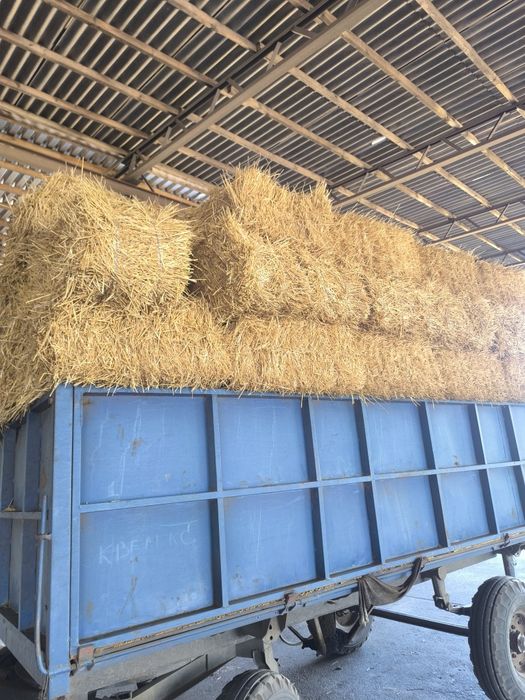 Продам солому в тюках