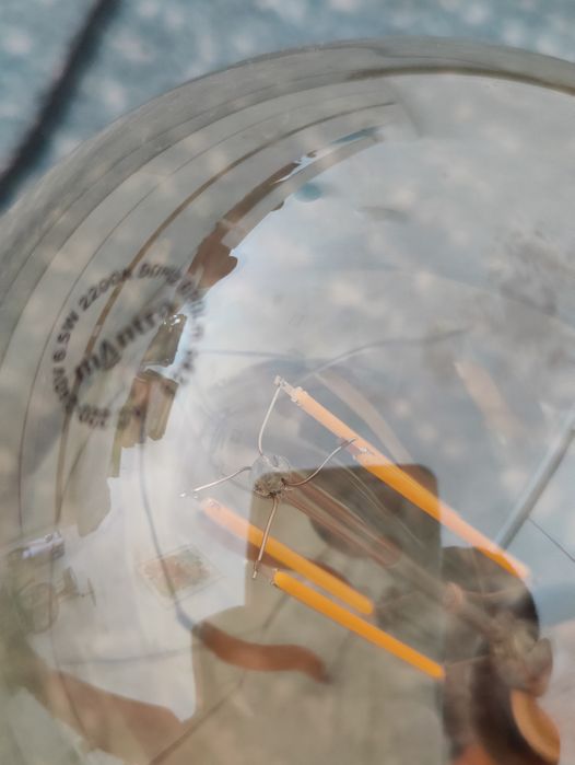 Candeeiro suspenso teto