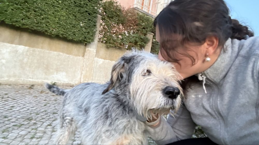 PetSitting, zona de Lisboa