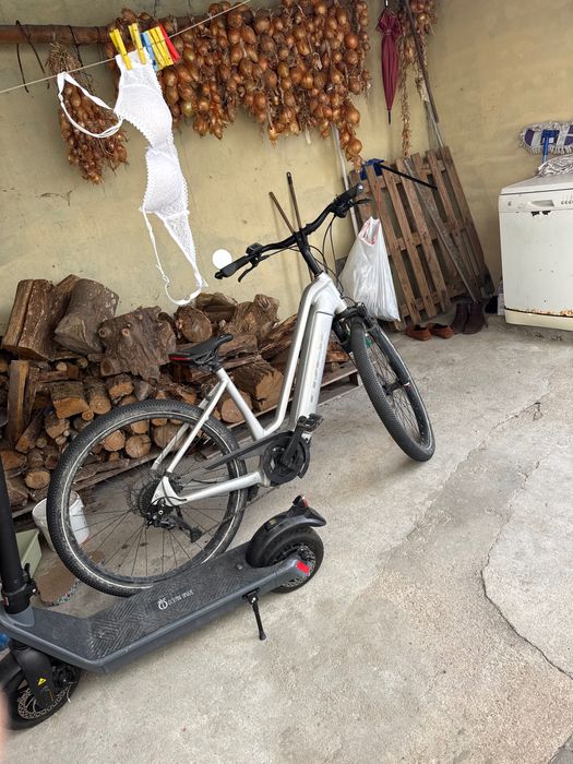 TREK Allant+ 7 Lowstep