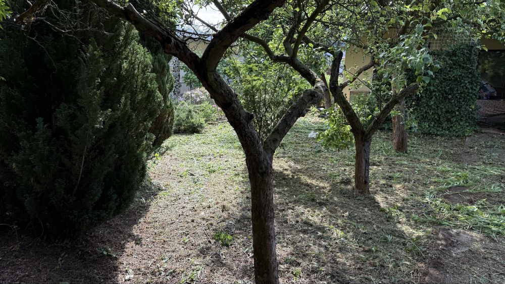 Działka ROD Camping Poznań Złotowska