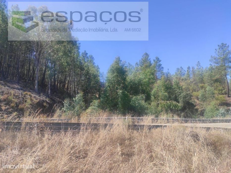 Terreno Florestal
