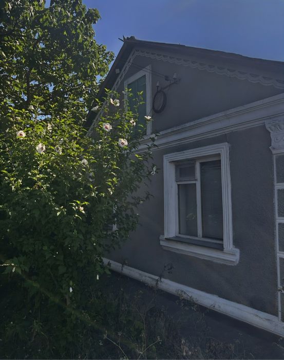 Просторий будинок з великим садом