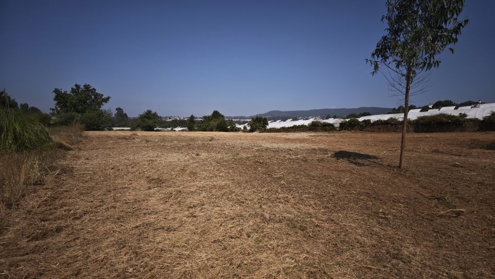 Terreno ( Baixa de Preço)