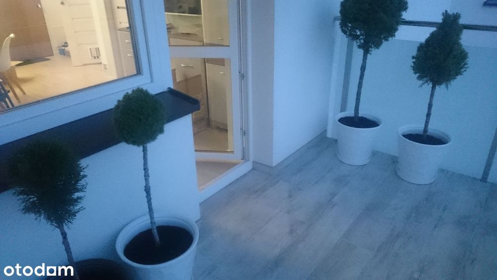 Łąkowa mieszkanie 2pokojowe 31,12 m² blisko centrum PORTA blat kamienny - Widok 5