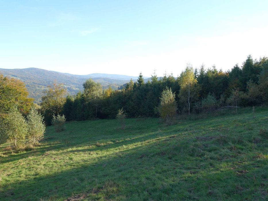 Brenna 2,53 ha z prawem zabudowy pod budynki mieszkalno pensjonatowe i domki letniskowe - Widok 5