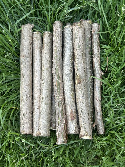 Gałązki leszczyny 500 g