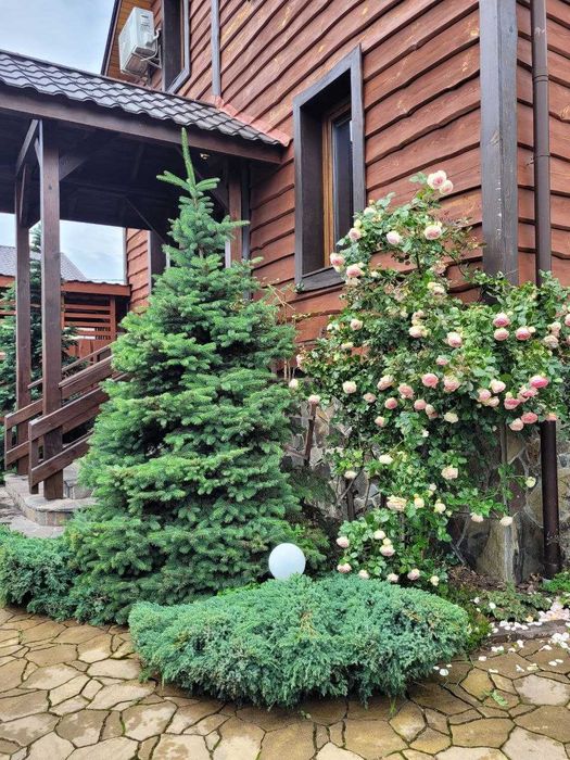 Будинок подобово для святкувань на 10 осіб  з сауною, 5км до Львова