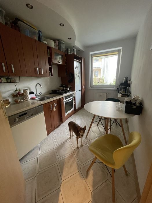 Pokój jednoosobowy do wynajecia