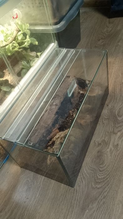 Терраріум 40х20х20