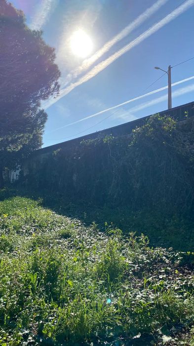 Jardinagem - Limpeza