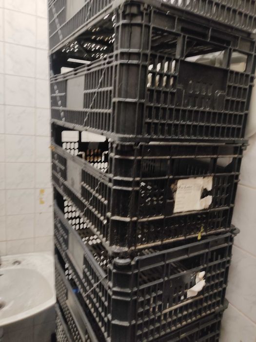 Cestos/Tabuleiros para Frutas/ Legumes