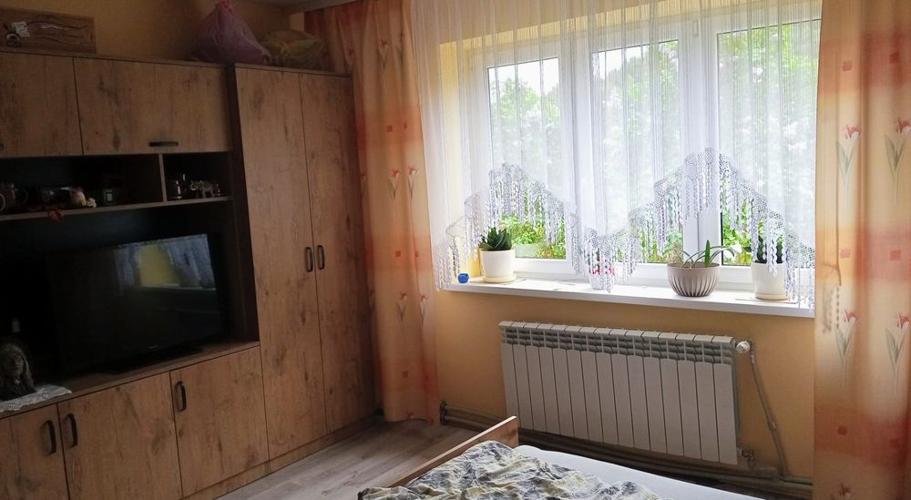 Dom działka siedlisko gospodarstwo - Widok 5