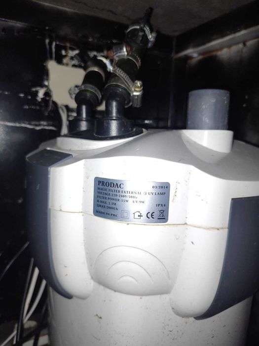 Aquário completo 100cm 50cm 50cm