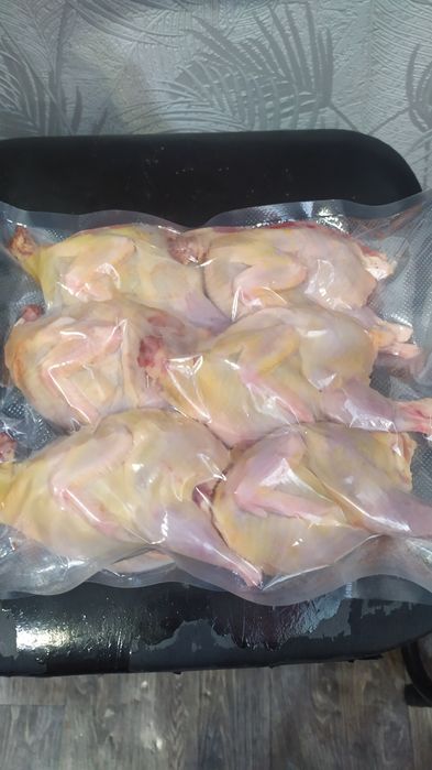 Продам Перепелів (ТЕХАСЬКИЙ перепел))