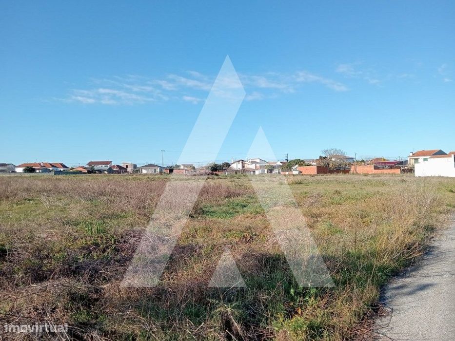 Terreno em Calvão - Vagos