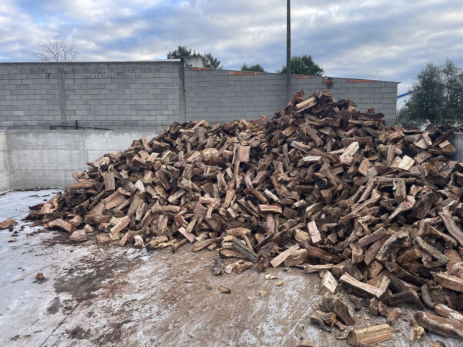 Vendo cavacas de sobro