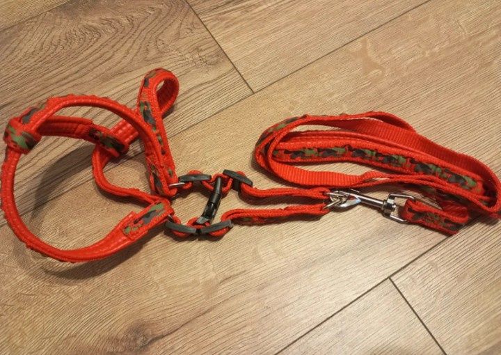 Smycz szelki dla psa
