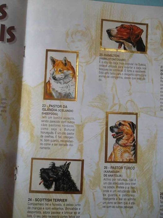 Cadernetas antigas , ver fotos e descrição para mais detalhes.