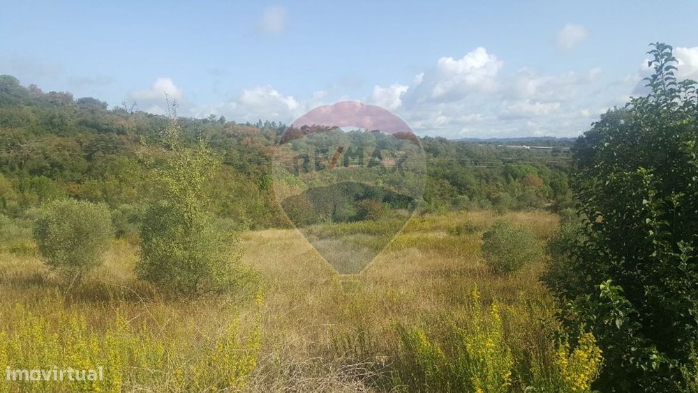 Terreno  para venda — Tomar (São João Baptista) E Santa Maria Dos Olivais, Santarém