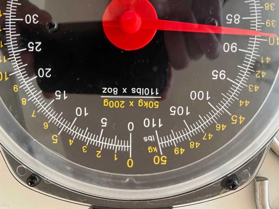 waga hakowa karpiowa do ryb Ron Thompson Fish Scale do 50 kg.