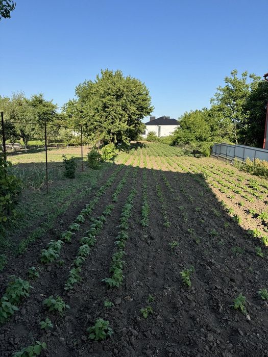 Продається будинок ( р-н Роша) з гарною ділянкою