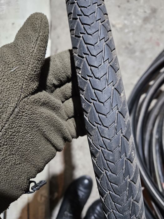 Continental contact plus  Schwalbe Kenda
