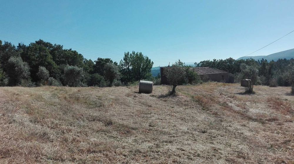 moradia para venda