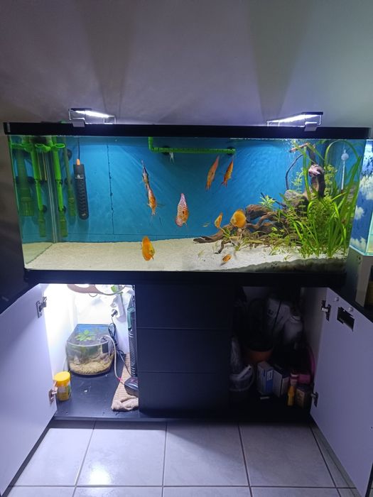 Aquário 240 litros
