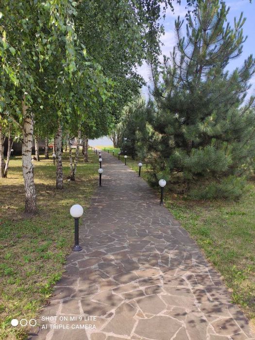 Сдам дом в аренду