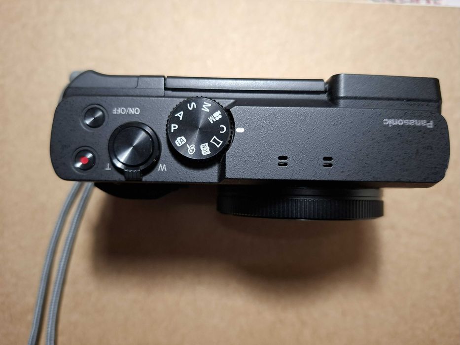 Panasonic Lumix DC-TZ90: Compact and Versatile64738114756609121