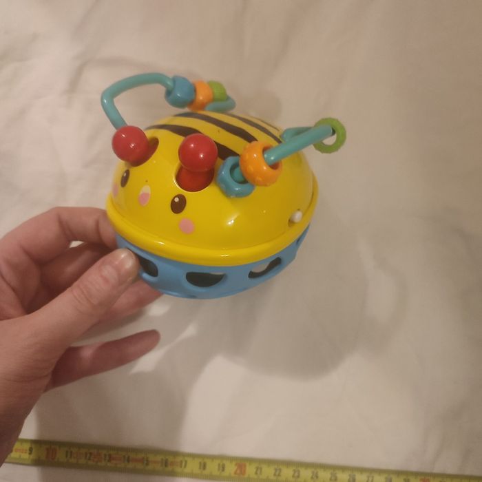 Pszczółka grzechotka  cartonrattle