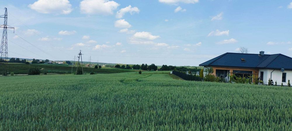 Sprzedam atrakcyjne działki we wsi Radomek