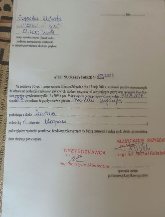 Grzyby marynowane maślak, gąski, grzyby suszone